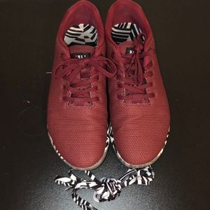 Cabernet Zebra Trainer NoBull